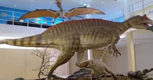 museu paleontológico de santana do cariri