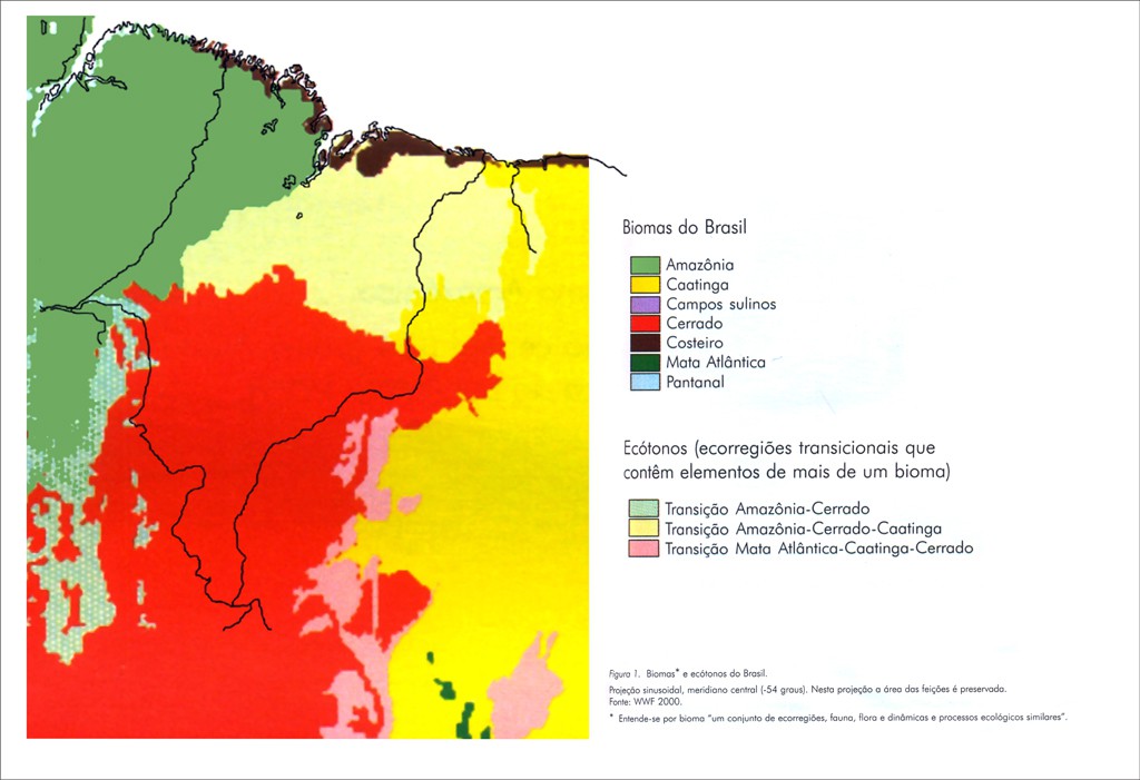 Mapa dos Biomas do Maranhão