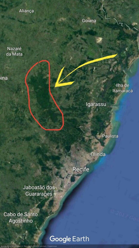 Vista do alto, a mancha verde do CIMNC se destaca na paisagem da Região Metropolitana